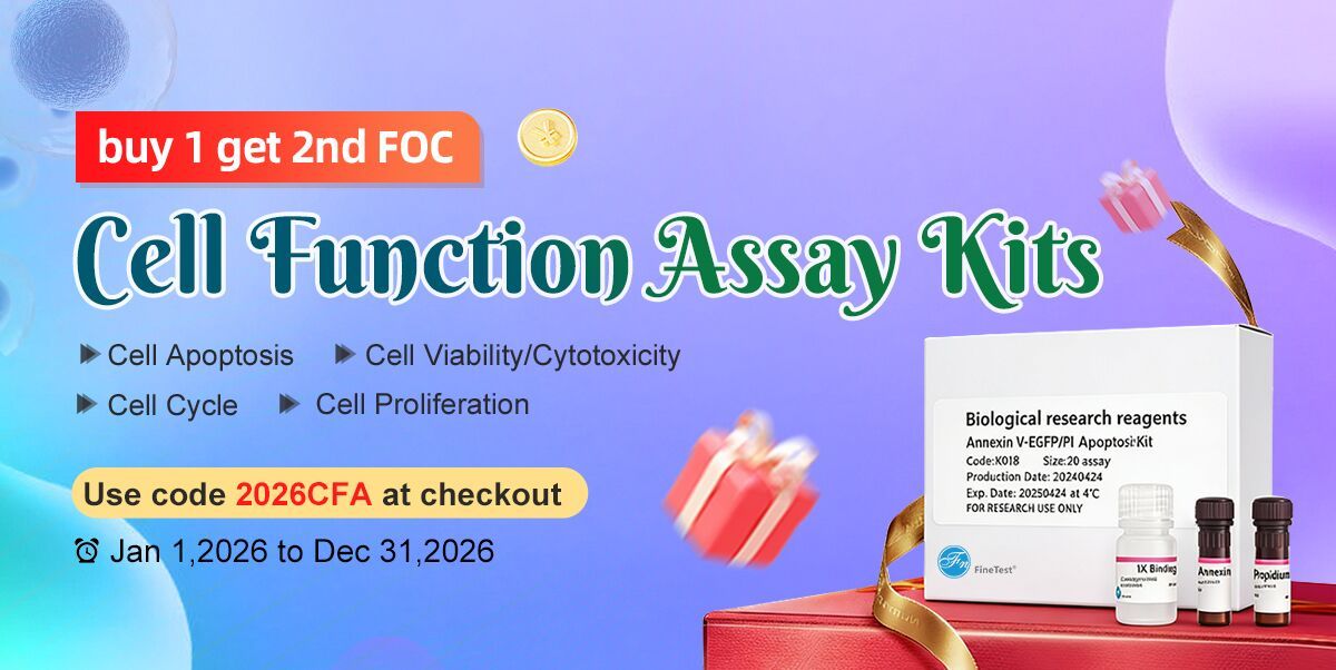 Cell Function Assay Kits