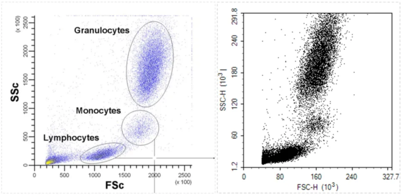 CD45 marker gating