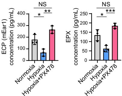 allergic granulomatosis