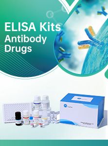 ELISA Kits Antibody Drugs