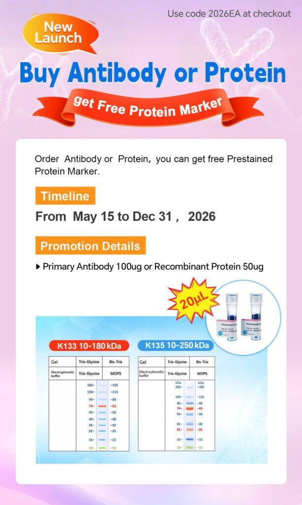 Free Protein Marker