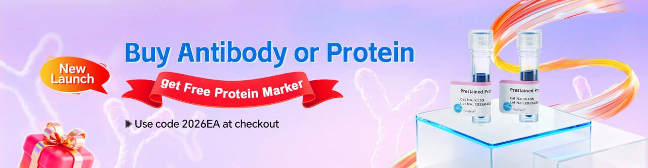 Buy Antibodies/Proteins with Free Protein Marker