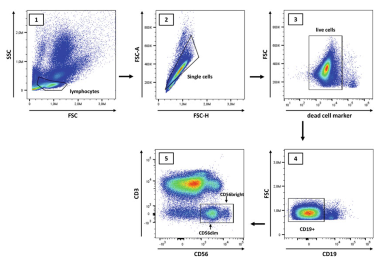cell recognition