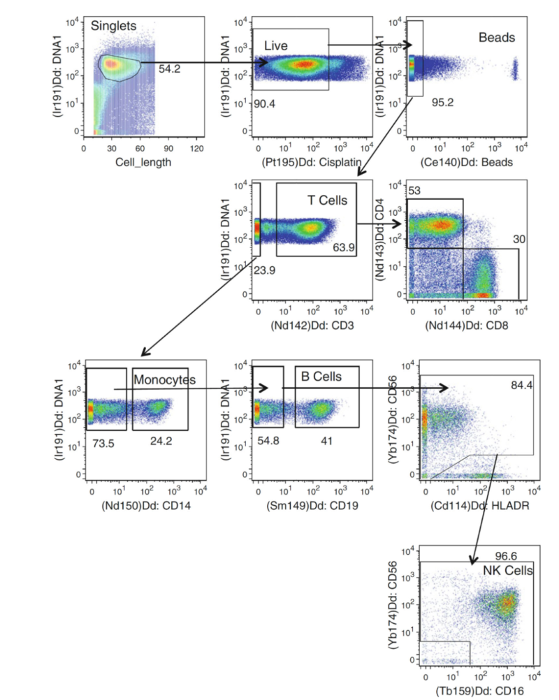 Mass Cytometry