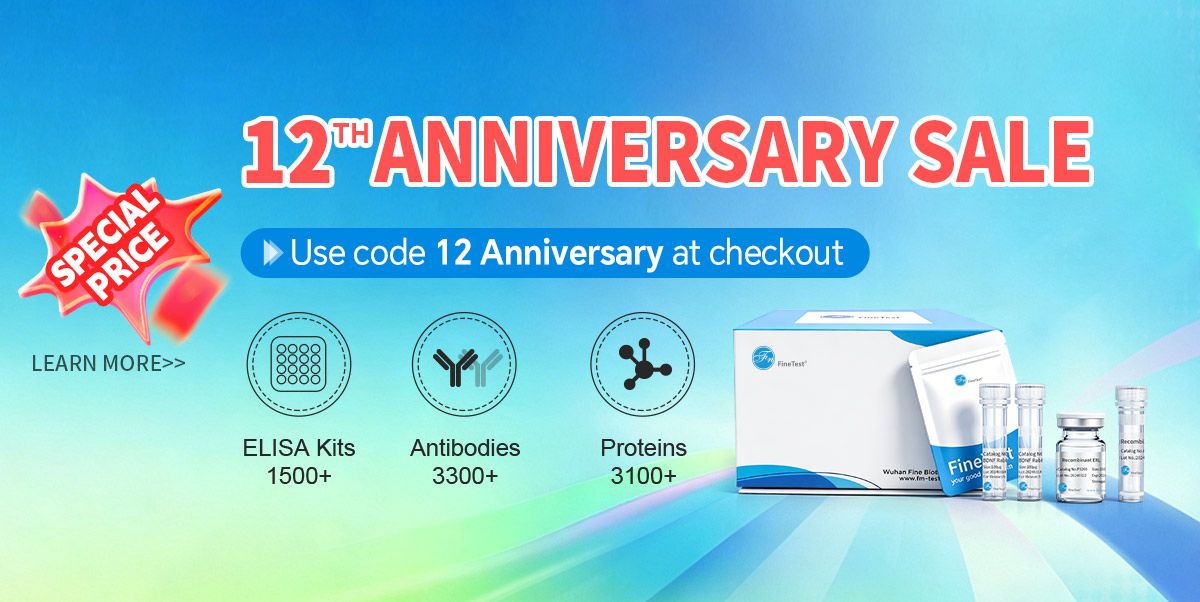 12th-anniversary-sale