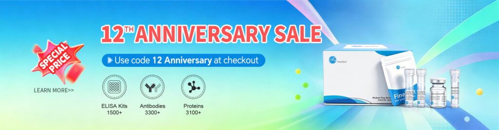12th-Anniversary-Sale