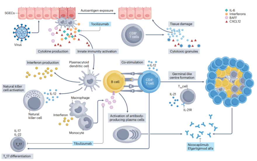 sjögren's syndrome