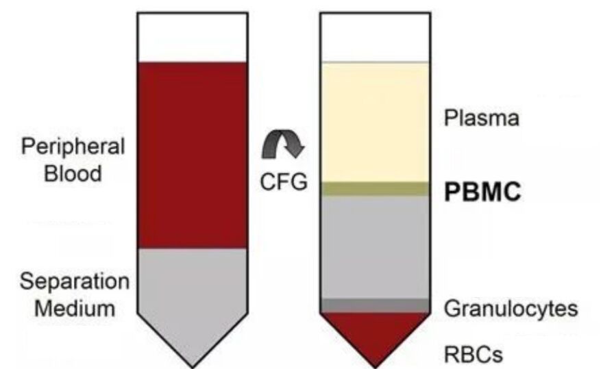 Density Gradient Centrifugation