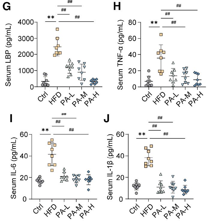 Intestinal permeability