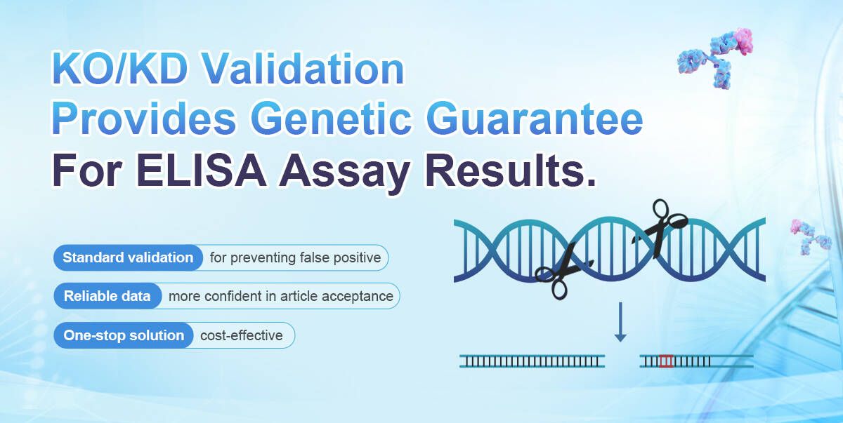 KD/KO Validation