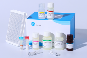 Antibody Drug ELISA Kits