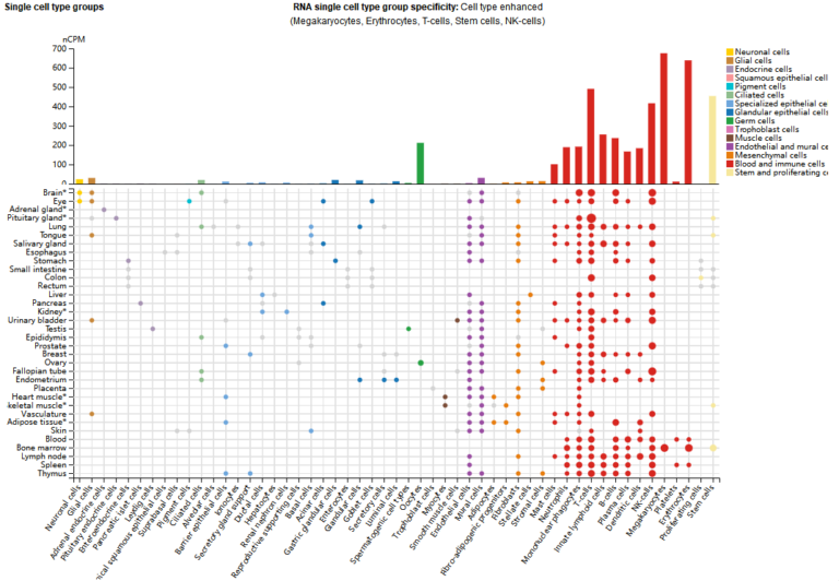 ITGA4 Expression