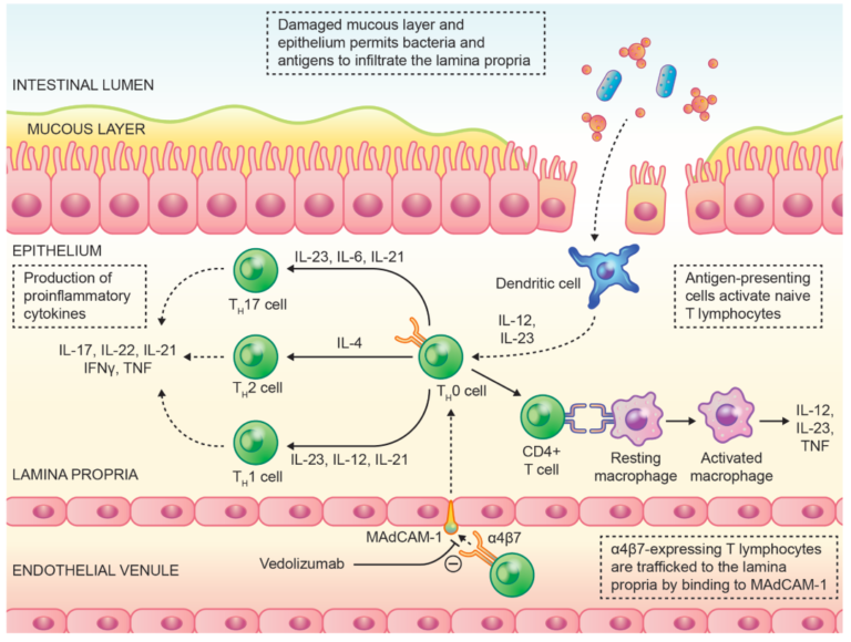 Targeted Therapy
