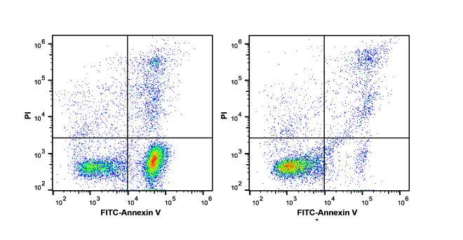 Annexin V and PI Staining