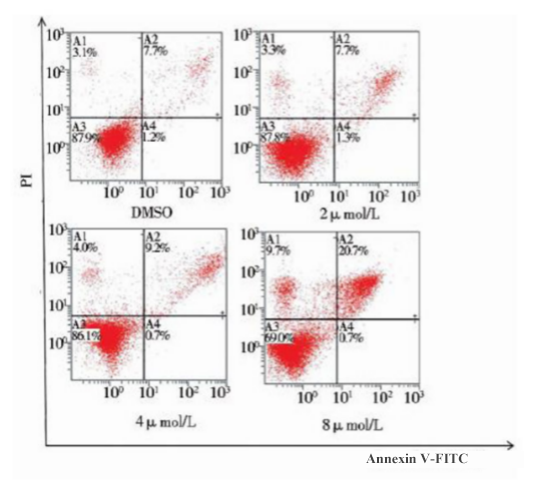 apoptosis analysis