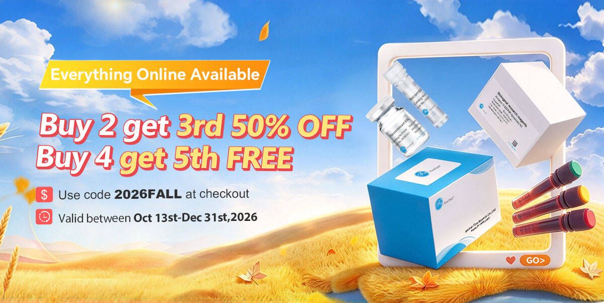 FineTest Autumn Sale 2026