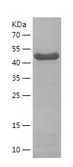 P8319