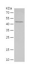 P8695