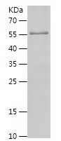 P8698