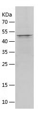 P9479
