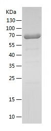 Pr22411