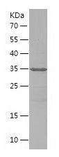 Pr22430