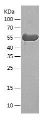 Pr22585