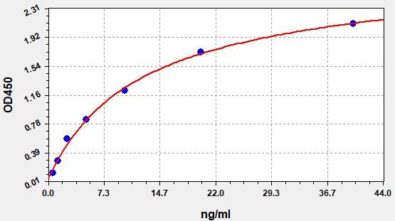 EH0416 Standard Curve Image