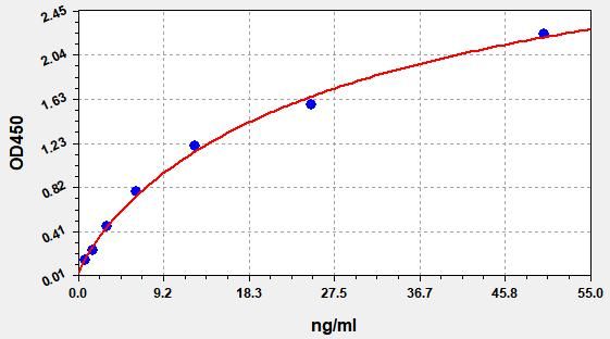 EH4202 Standard Curve Image