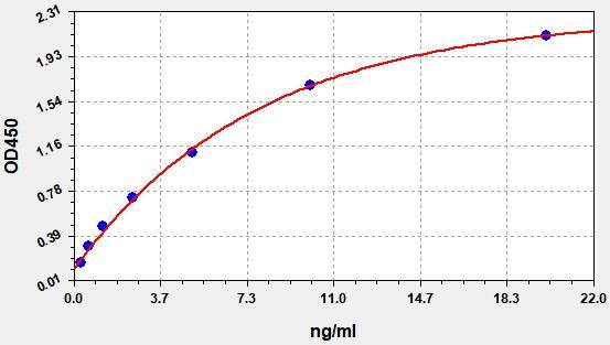 ER0507 Standard Curve Image